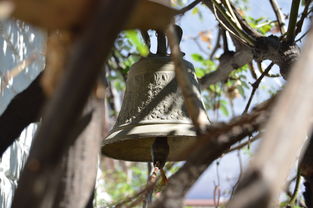 中国米兰官方-NBA球员转会市场动态，nba转会名单