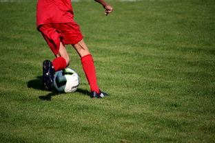 AC MILAN APP-中国篮球职业联赛俱乐部青训体系建设及实践探索，职业篮球青年队