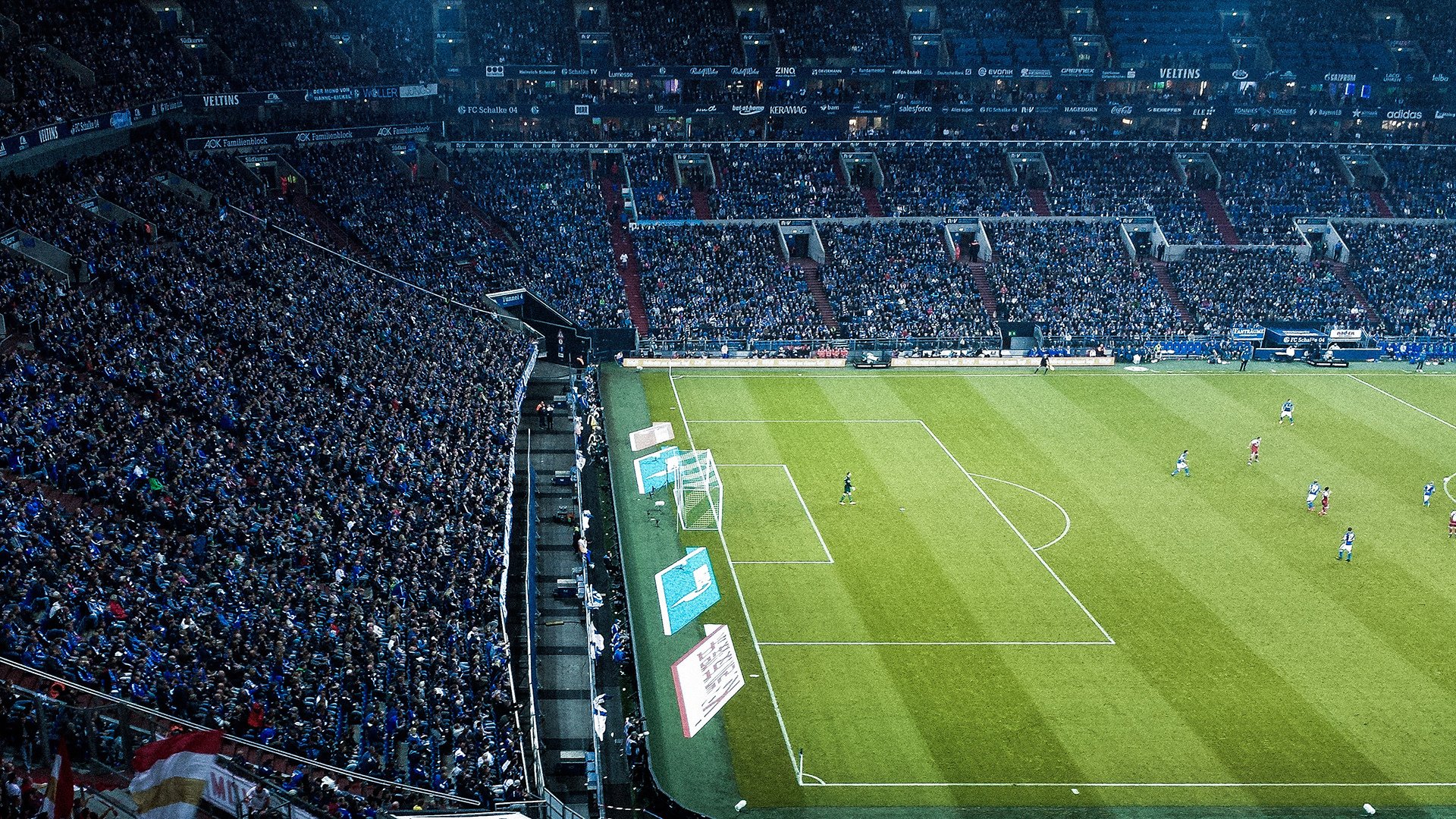 “春季赏花跑” 赛道两侧布满樱花与郁金香